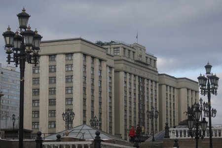 Почти треть россиян не увидела необходимости в Госдуме