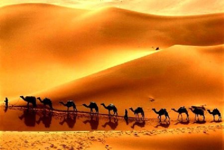 Великий шёлковый путь: почему в колодцах посреди пустыни всегда была вода
