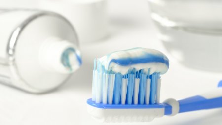 Стоматологи рассказали, нужно ли мочить щетку перед чисткой зубов
