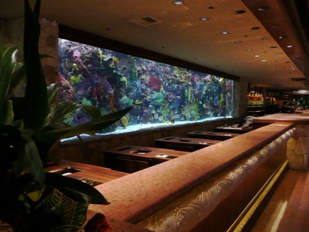 Хакеры украли данные казино через термостат в аквариуме
