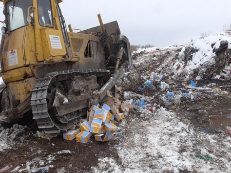 Почти 3 тонны запрещенного к ввозу в Россию сыра было уничтожено в Белгородской области