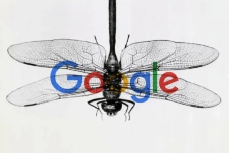 Google закрывает проект по разработке поисковой системы с цензурой для Китая