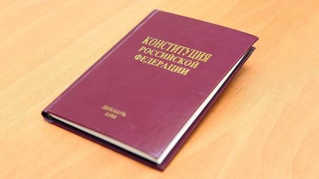 В России разработали детскую версию Конституции в стихах и картинках