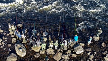 В Росрыболовстве разъяснили новые правила рыбалки