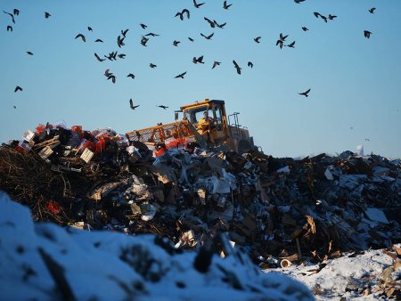 Россиянам через шесть лет будет некуда выбрасывать мусор, заявили в СП