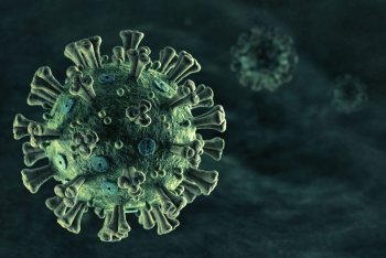 Самый близкий к SARS-CoV-2 вирус обнаружился в китайской лаборатории