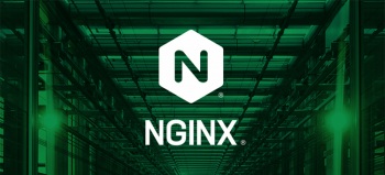 Спор за права на веб-сервер Nginx, созданный бывшими работниками Rambler, вышел за пределы России
