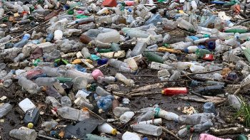 Ученые узнали, что происходит с пластиком после 24 лет в океане