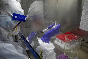 Вирусолог рассказал об опасности южноафриканского штамма коронавируса
