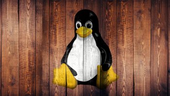 Россия потратит 300 млн руб. на разработку безопасной версии ядра Linux