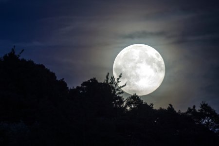14 ноября жители Земли увидят самую большую Луну с начала XXI века