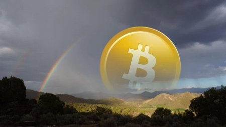 Bitcoin рекордно подорожал по отношению к доллару
