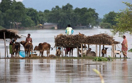 Ученые предупредили о непригодности Южной Азии для человека в 2100 году из-за изменения климата