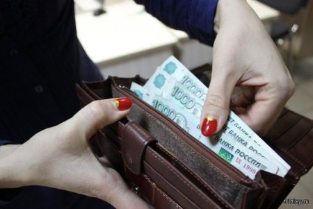 Сколько россиянам нужно зарабатывать в месяц для благополучной жизни