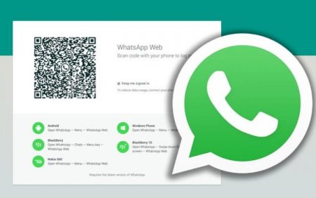 В веб-версии WhatsApp появилась поддержка группировки стикеров