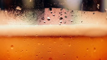 Ученые подсчитали количество пузырьков в стакане пива
