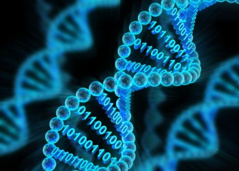 Некоторые системы для расшифровки ДНК оказались уязвимы для хакеров, что грозит подделкой или кражей генетической информации